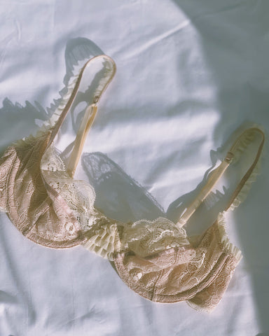 vintage lace and mesh bra.